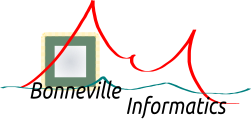 Bonneville Informatics Logo
